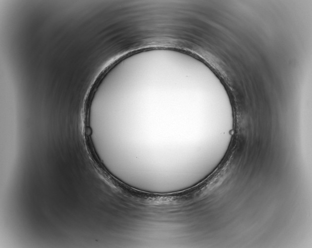 X0000096650846200802261319