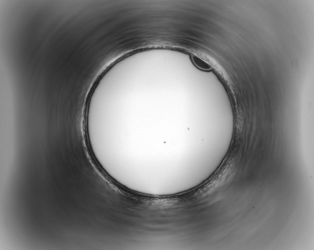 X0000096650847200802261319