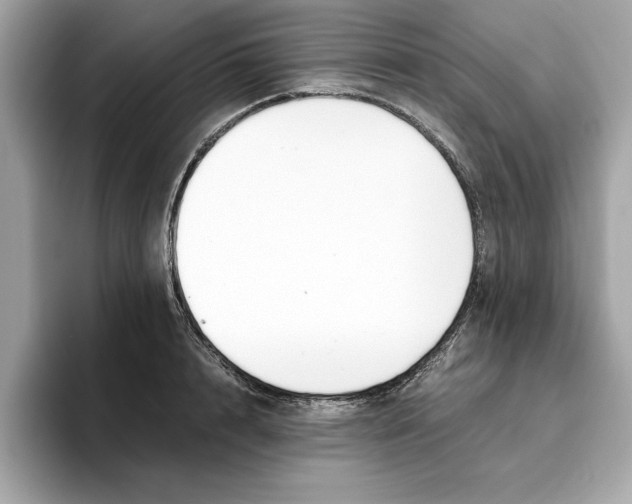 X0000096650848200802261319