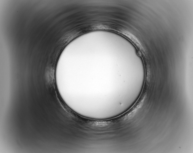 X0000096650849200802261319