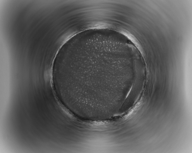 X0000096650850200802261319