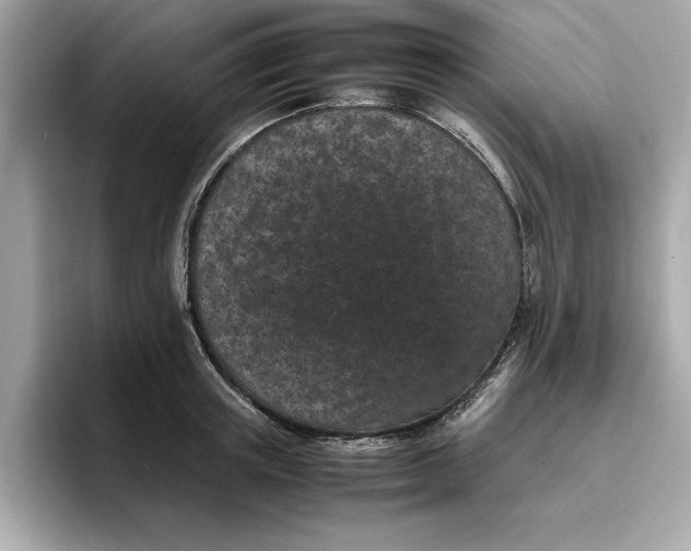 X0000096650851200802261319