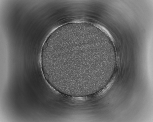 X0000096650855200802261319