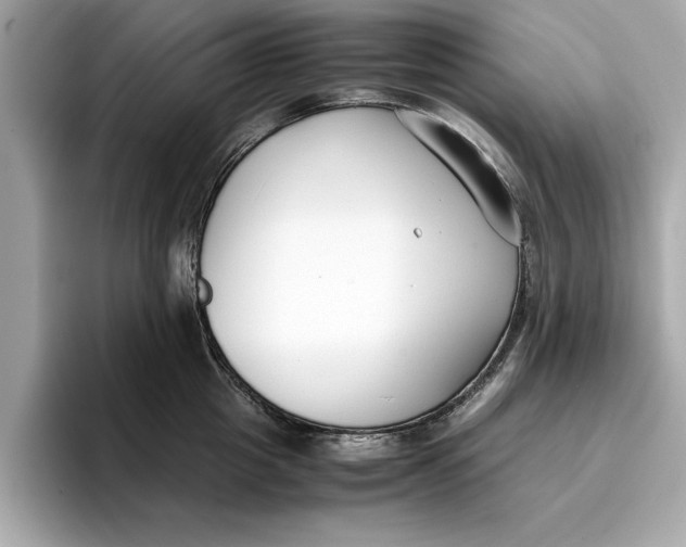 X0000096650857200802261319