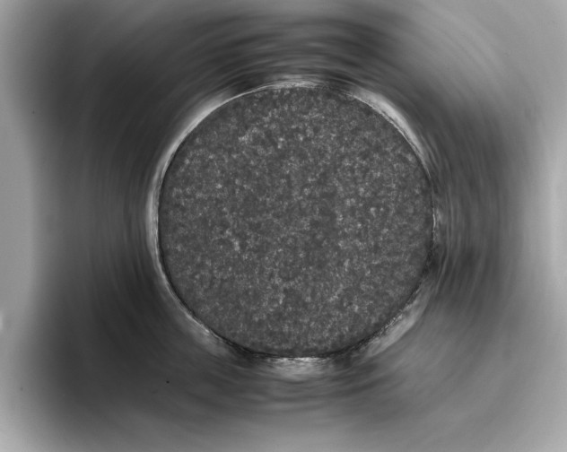 X0000096650859200802261319