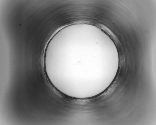 X0000096650860200802261319