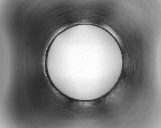 X0000096650861200802261319