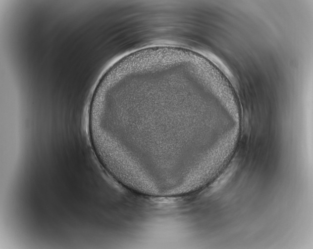 X0000096650862200802261319