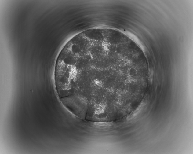 X0000096650863200802261319