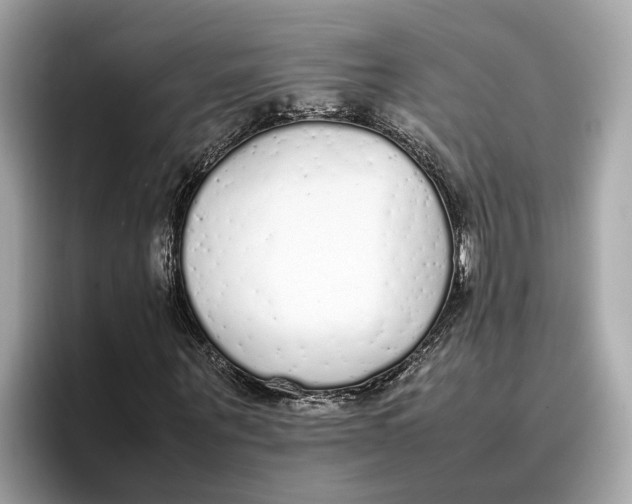 X0000096650867200802261318