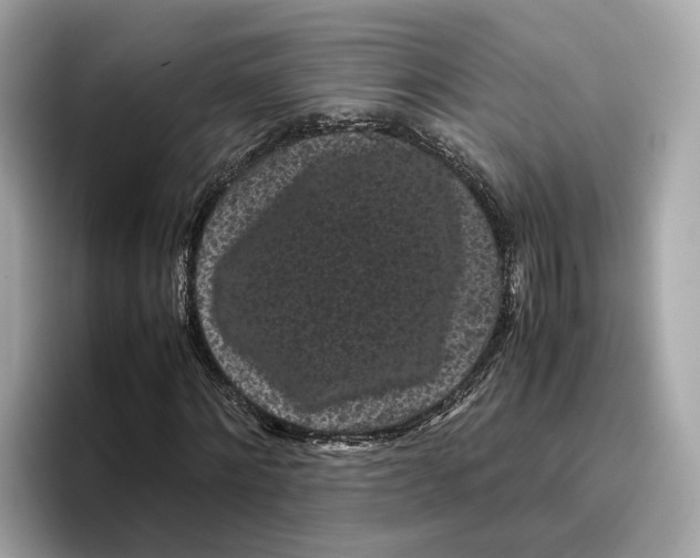 X0000096650868200802261318