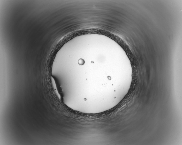 X0000096650871200802261318