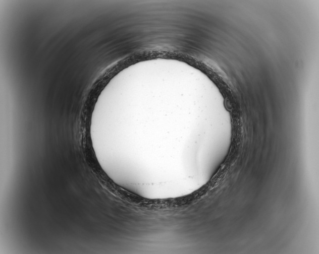 X0000096650872200802261318