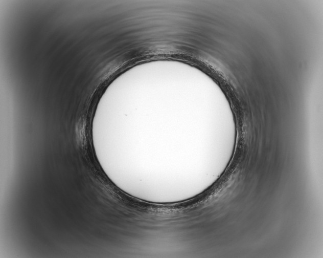 X0000096650873200802261318