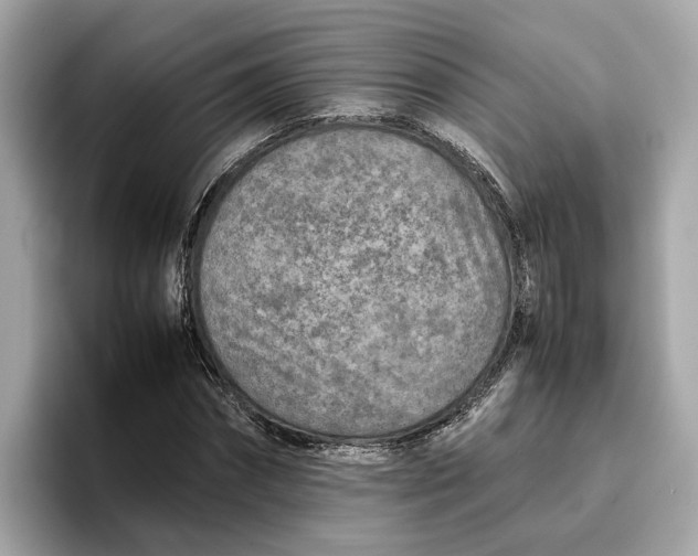 X0000096650874200802261318