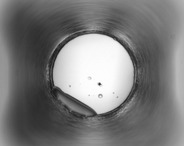 X0000096650875200802261318