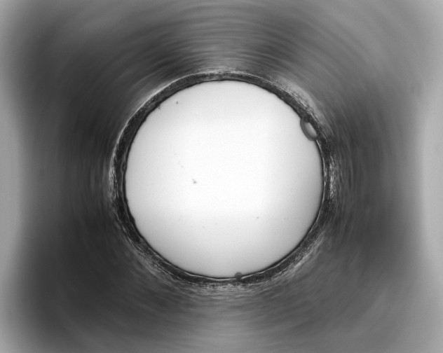 X0000096650876200802261318