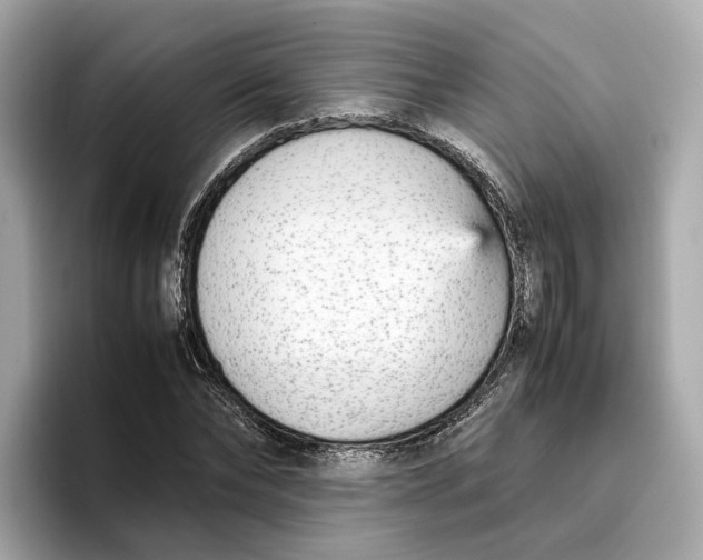 X0000096650878200802261318