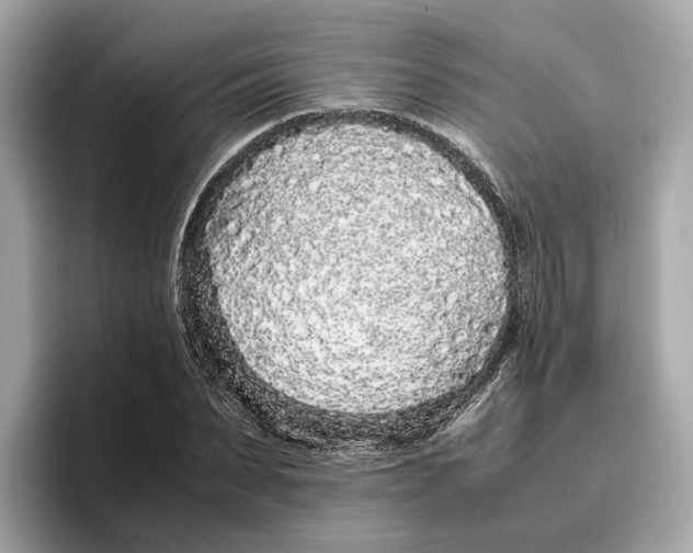 X0000096650879200802261318