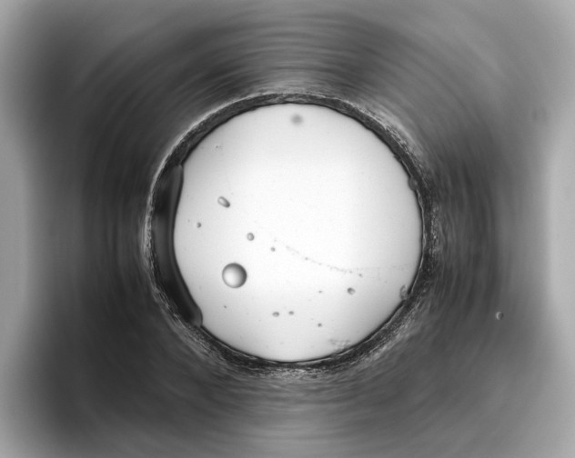 X0000096650880200802261318