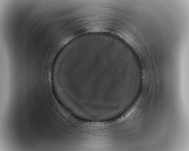 X0000096650881200802261318