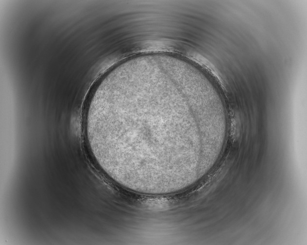 X0000096650882200802261318