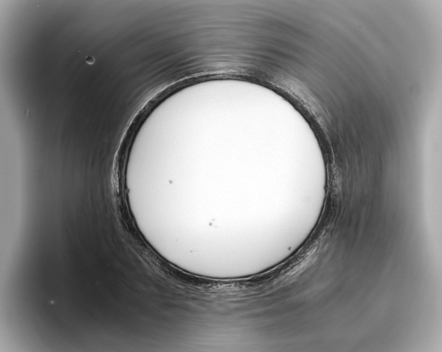 X0000096650883200802261318