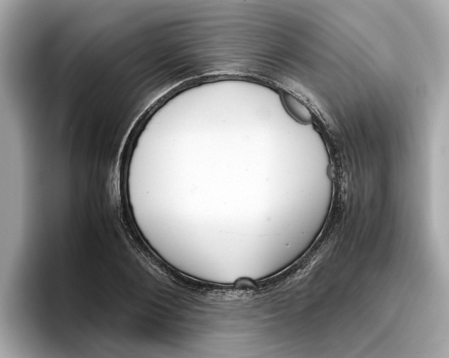 X0000096650884200802261318