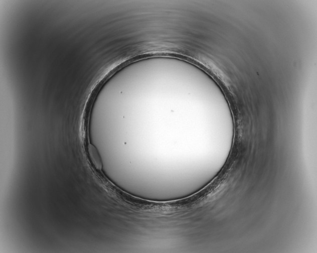 X0000096650885200802261318