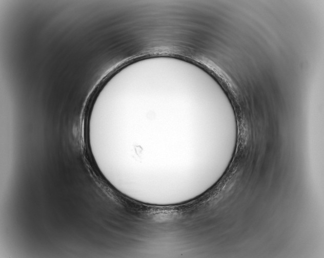 X0000096650886200802261318