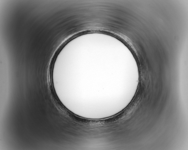 X0000096650887200802261318