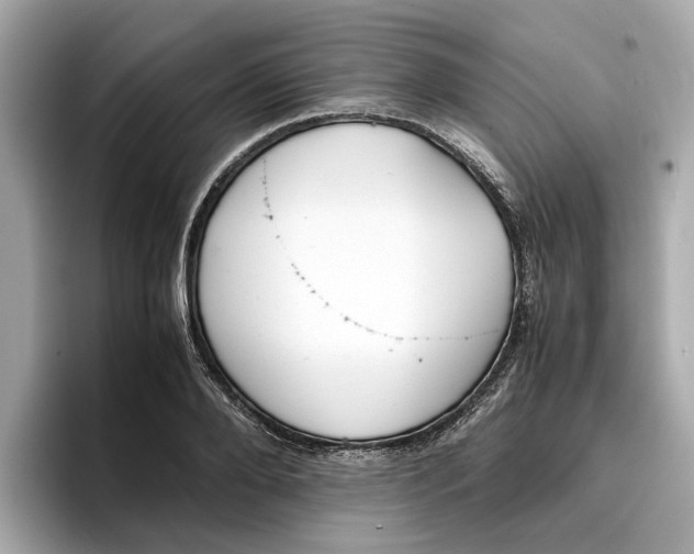 X0000096650888200802261318