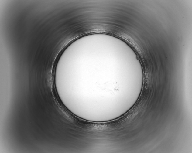 X0000096650890200802261318