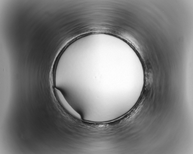 X0000096650891200802261318