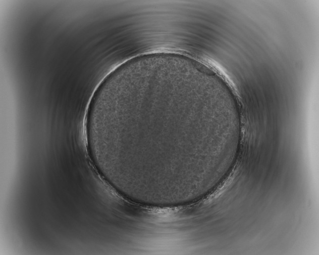 X0000096650892200802261318