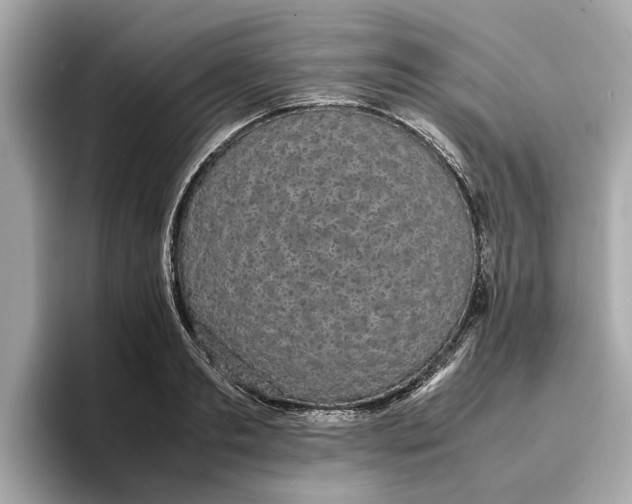 X0000096650893200802261318