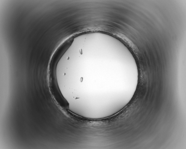 X0000096650894200802261318