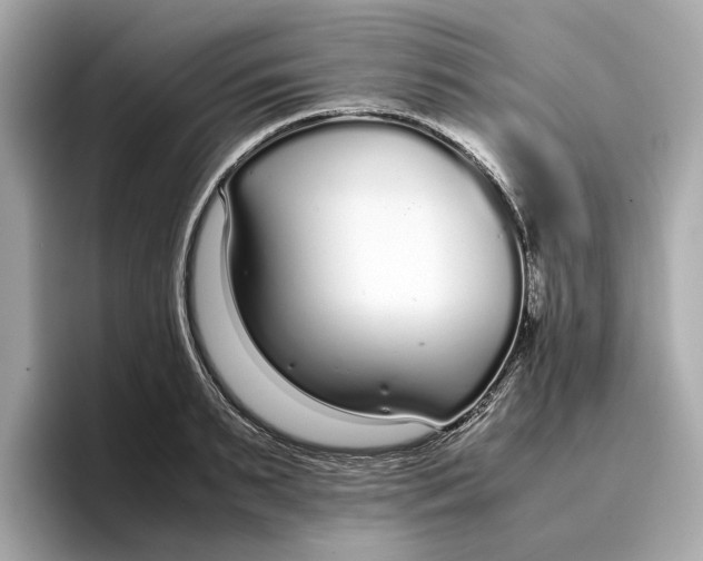 X0000096650895200802261318