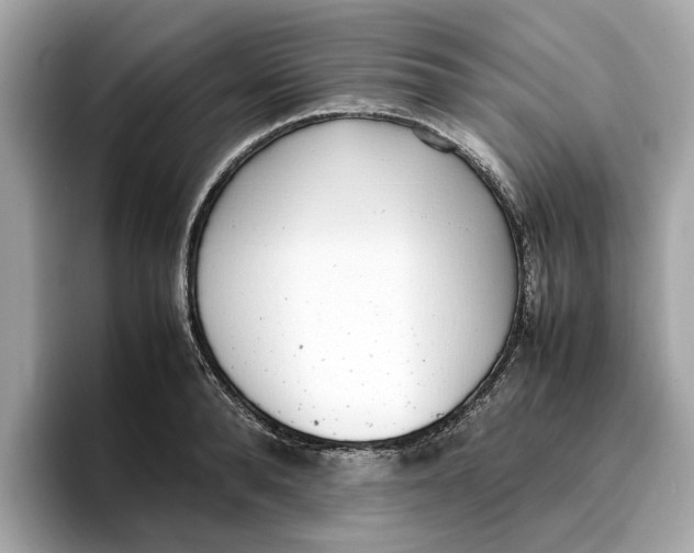 X0000096650896200802261318