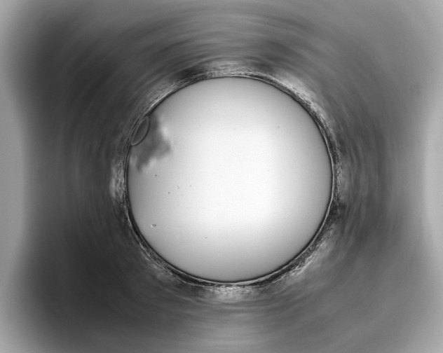 X0000096650897200802261318