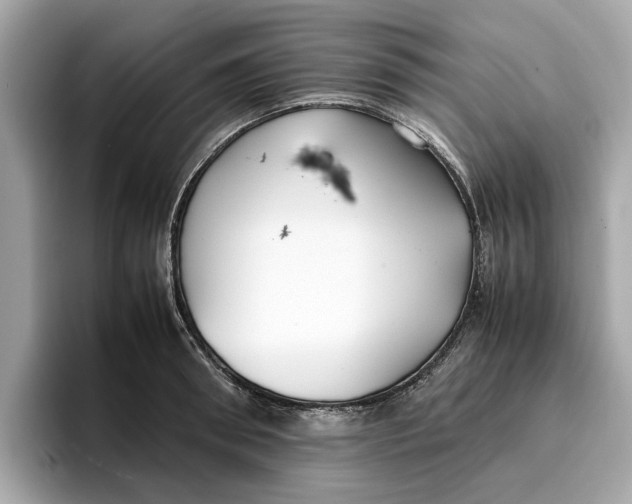 X0000096650898200802261318