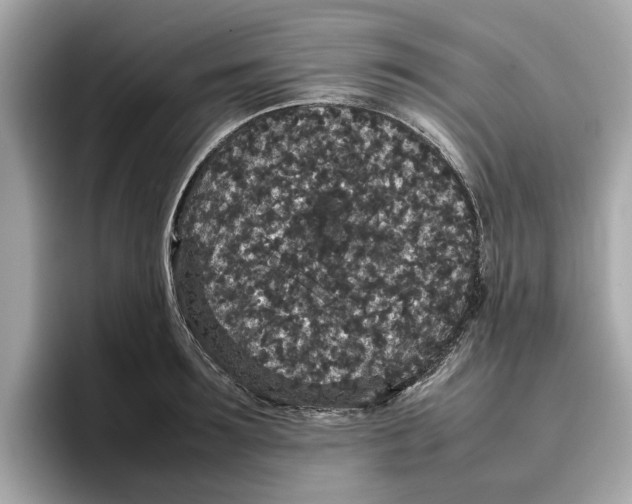 X0000096650899200802261318