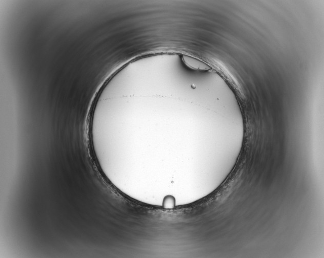 X0000096650900200802261318