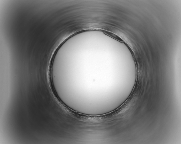 X0000096650901200802261318