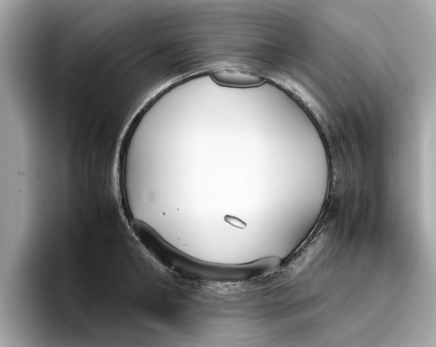 X0000096650902200802261318