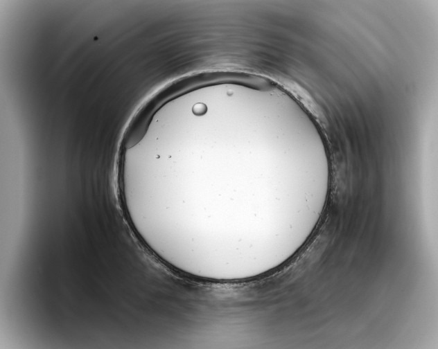 X0000096650904200802261318