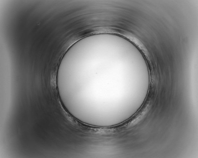 X0000096650905200802261318