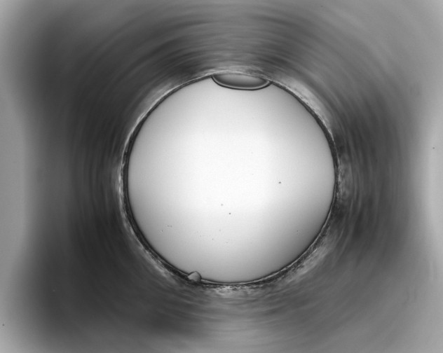 X0000096650906200802261318