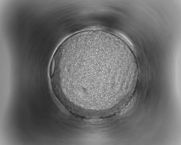 X0000096650907200802261318