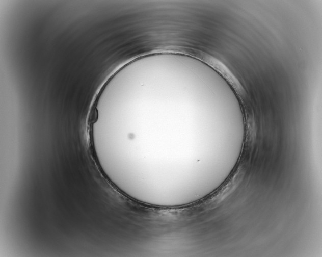 X0000096650908200802261318